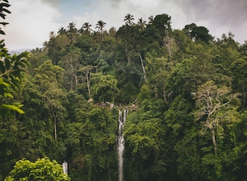 Air Terjun Sekumpul 